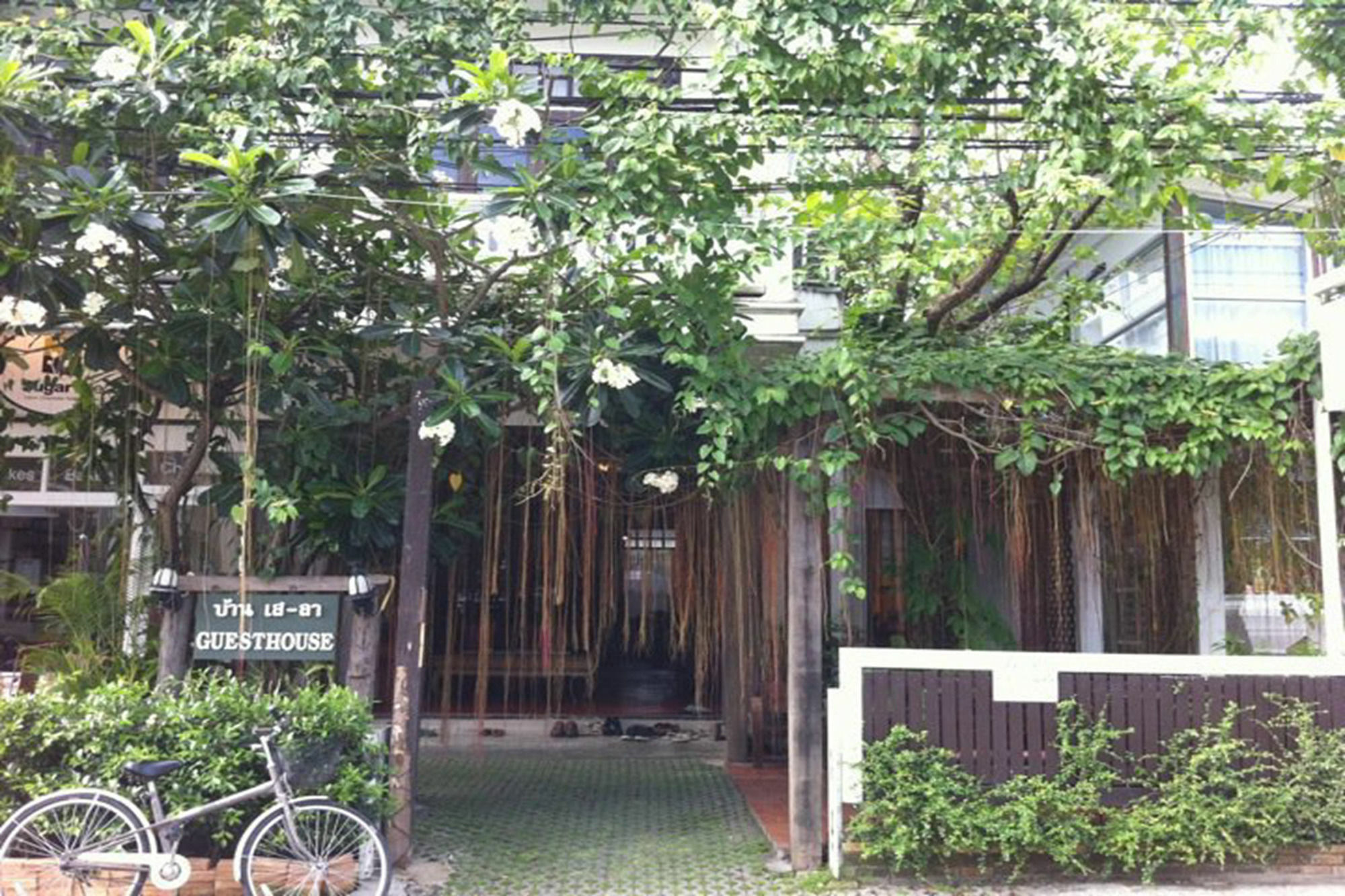 Baan Say-La Guest House Chiang Mai Eksteriør billede